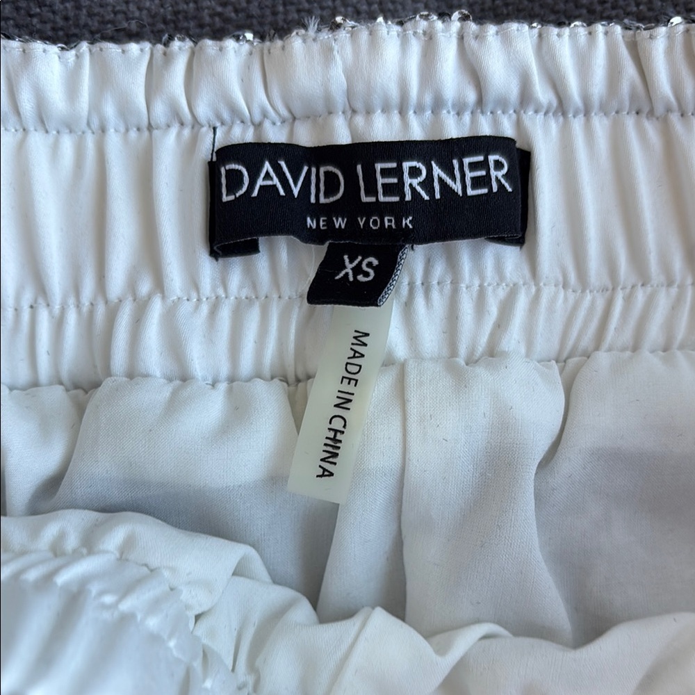 David Lerner Silver Sequence Joggers - image 3